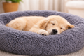 Coussin Cocoon